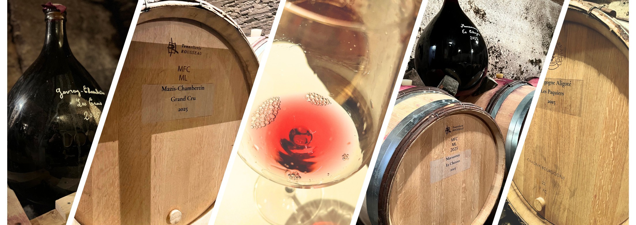 Tasting at Vincent Paindavoine – Vintage 2024